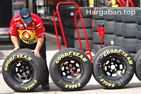Ban Goodyear
